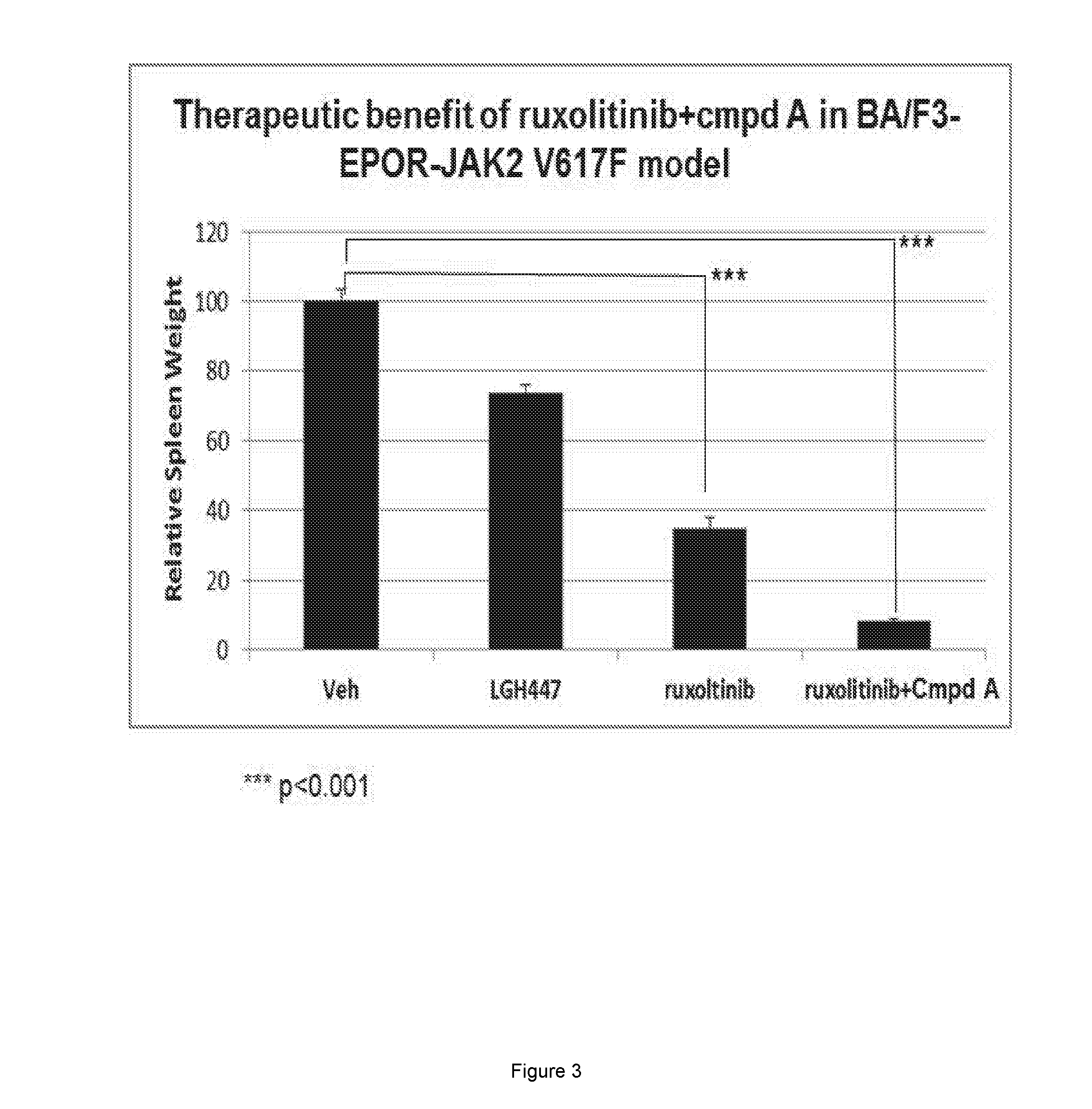 Pim kinase inhibitor combinations