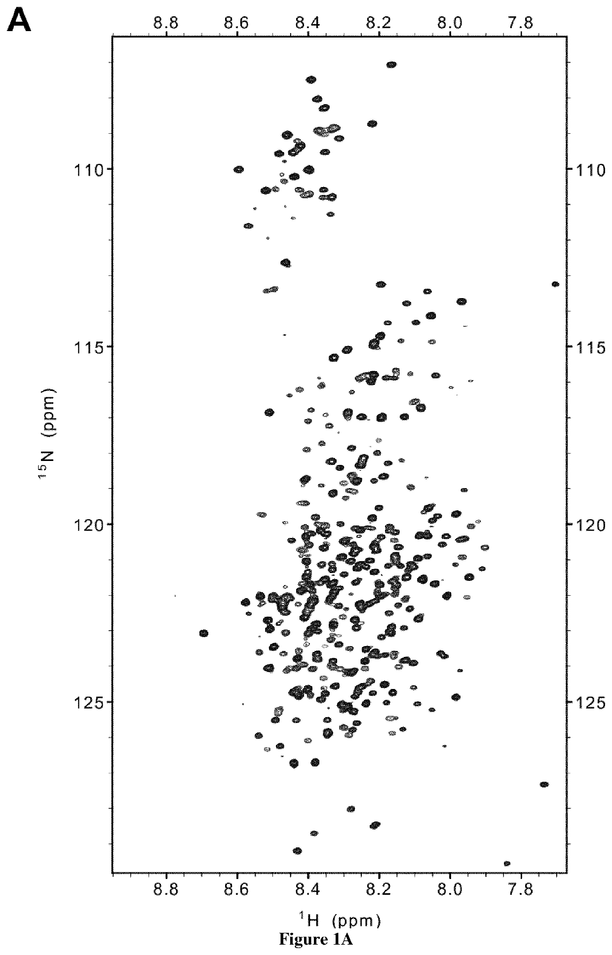 New anti tau svqivykpv epitope single domain antibody