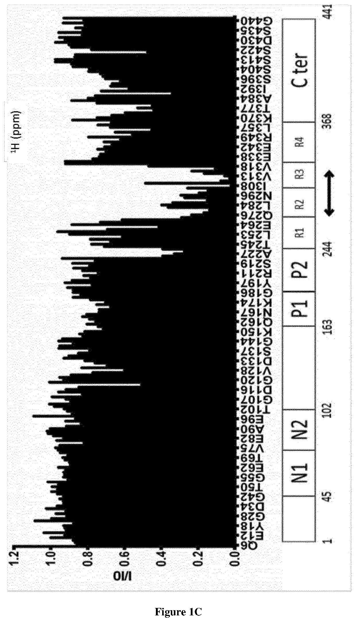 New anti tau svqivykpv epitope single domain antibody