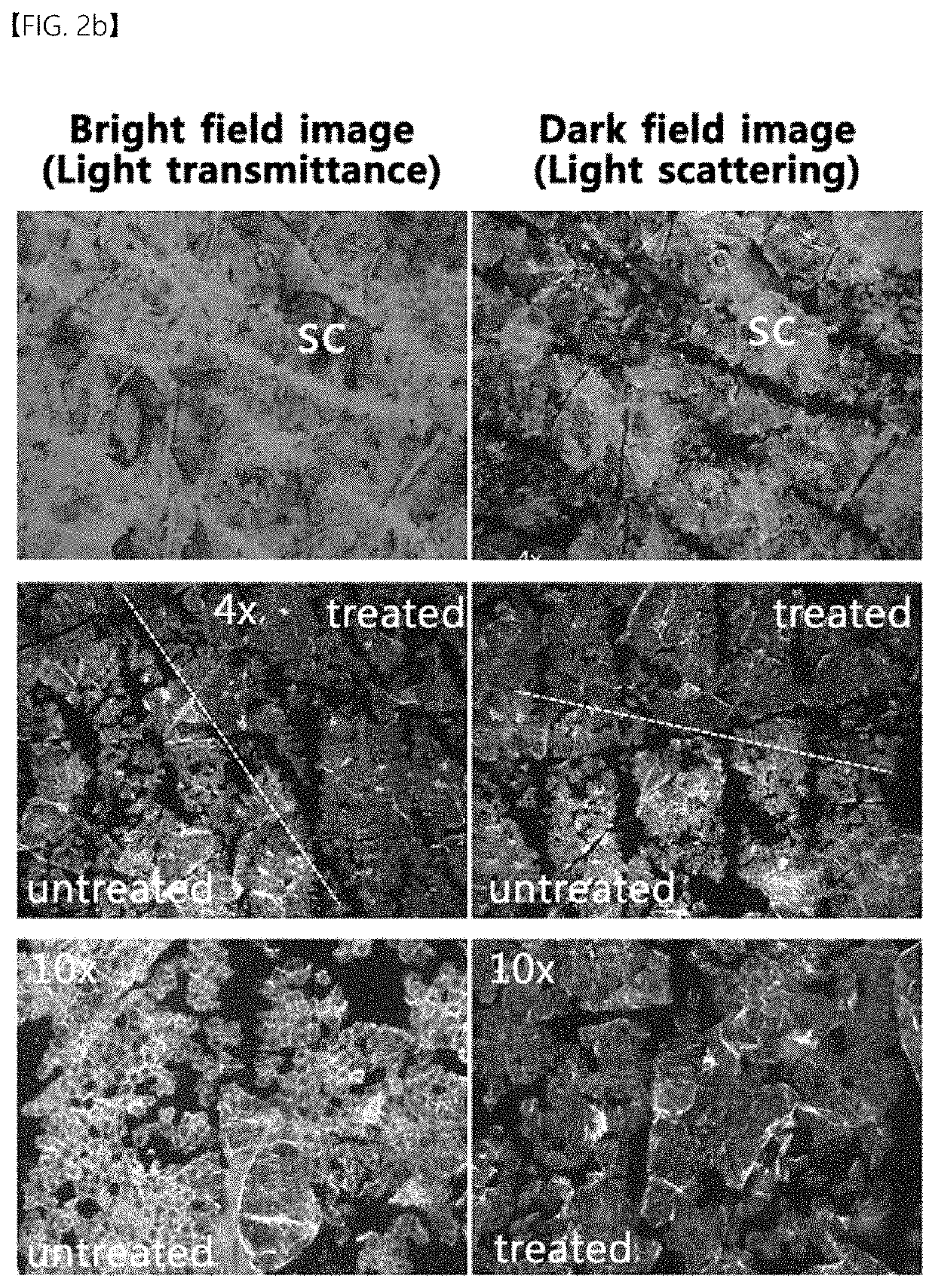 Composition comprising optical clearing agent for improving optical characteristic of skin