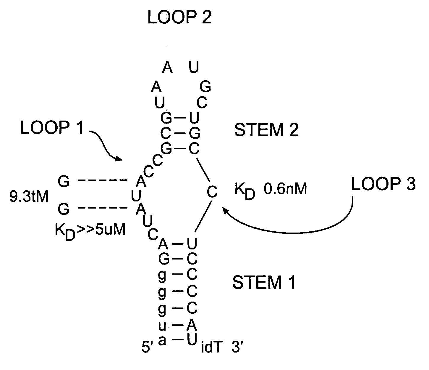 Modulators of pharmacological agents