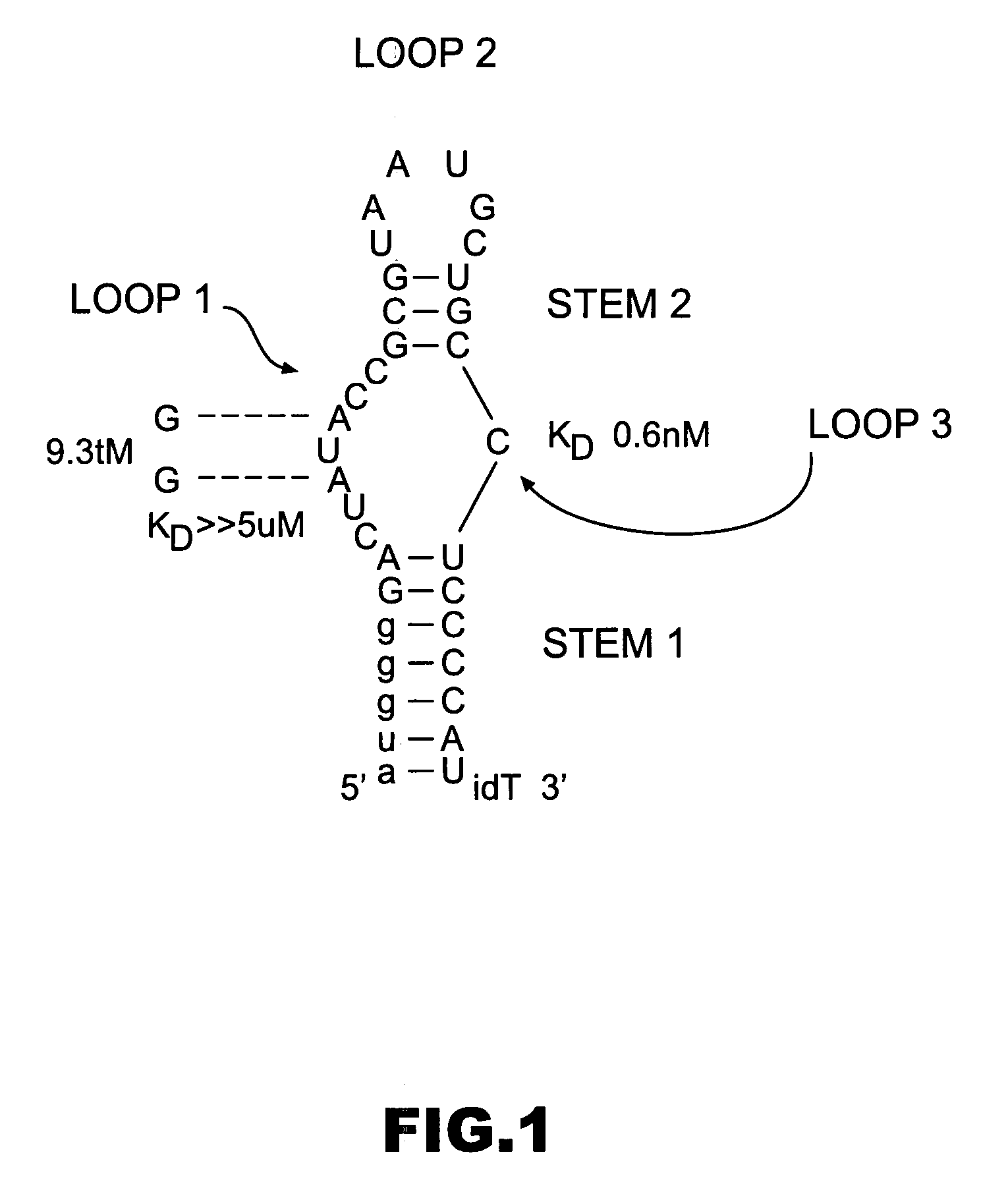 Modulators of pharmacological agents