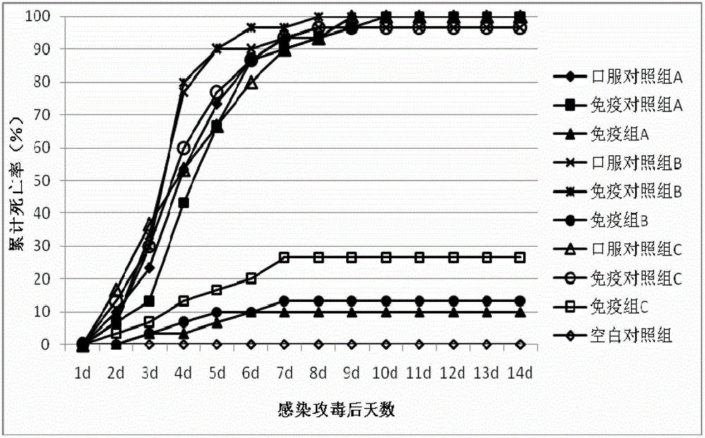 Bacillus subtilis multi-valent vector-based vaccine and application thereof