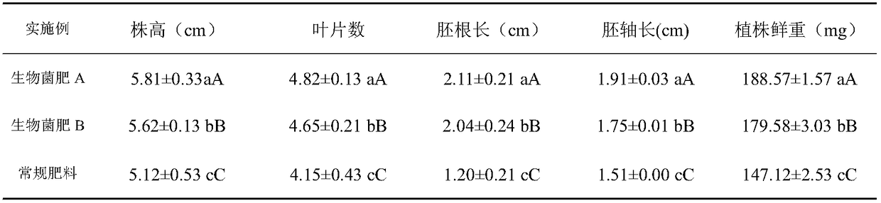 Special biological bacterial fertilizer for traditional Chinese medicine as well as preparation method and application of special biological bacterial fertilizer