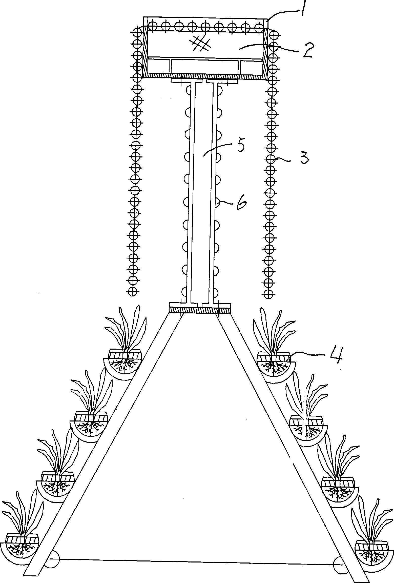 Photocatalysis-plant cooperated water purifying method for pisciculture water