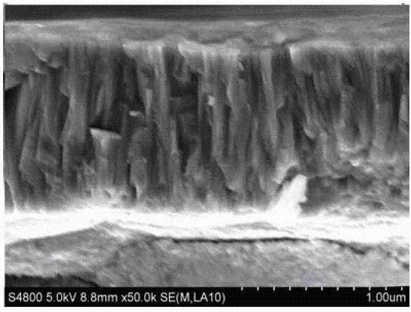 Ti/TiN/MaN composite coating on surface of cutter and preparation method of Ti/TiN/MaN composite coating