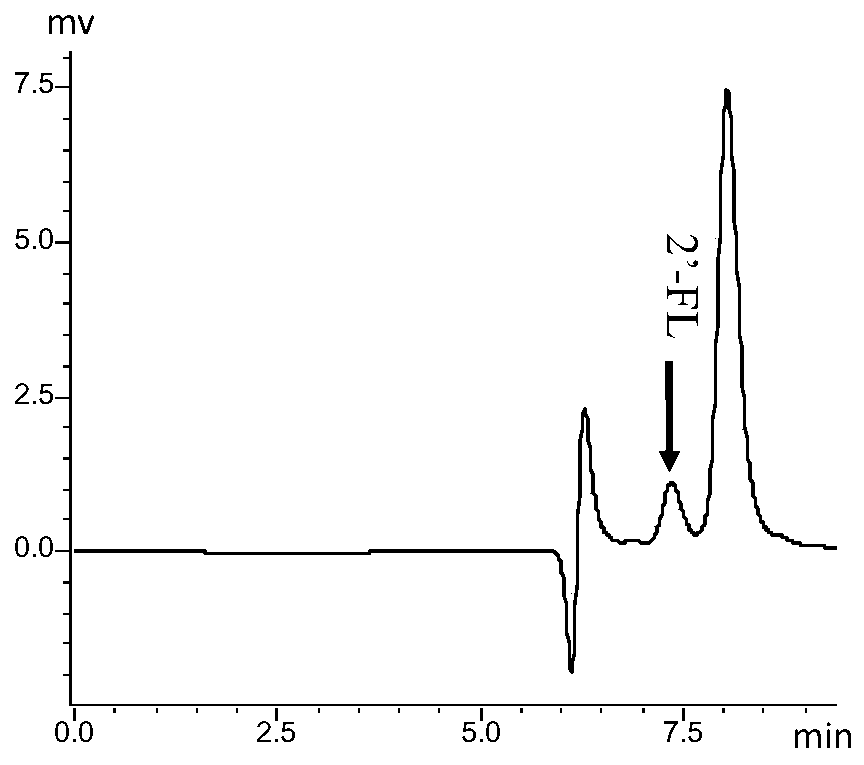 Method for producing 2'-fucosyllactose by using escherichia coli