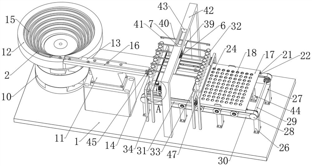 A skeleton feeding device with a nail-shaped skeleton rubber product