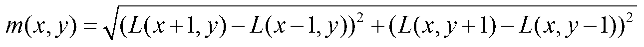 Spatial local clustering description vector based image classification method