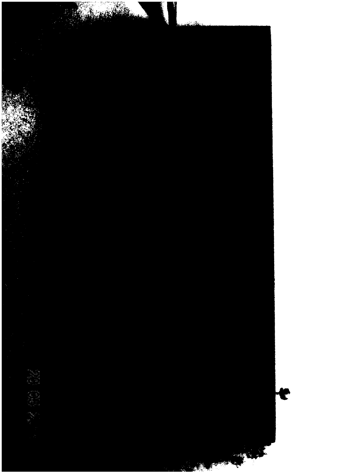 Compound corrosion inhibitor applicable to sewage medium and preparation method thereof