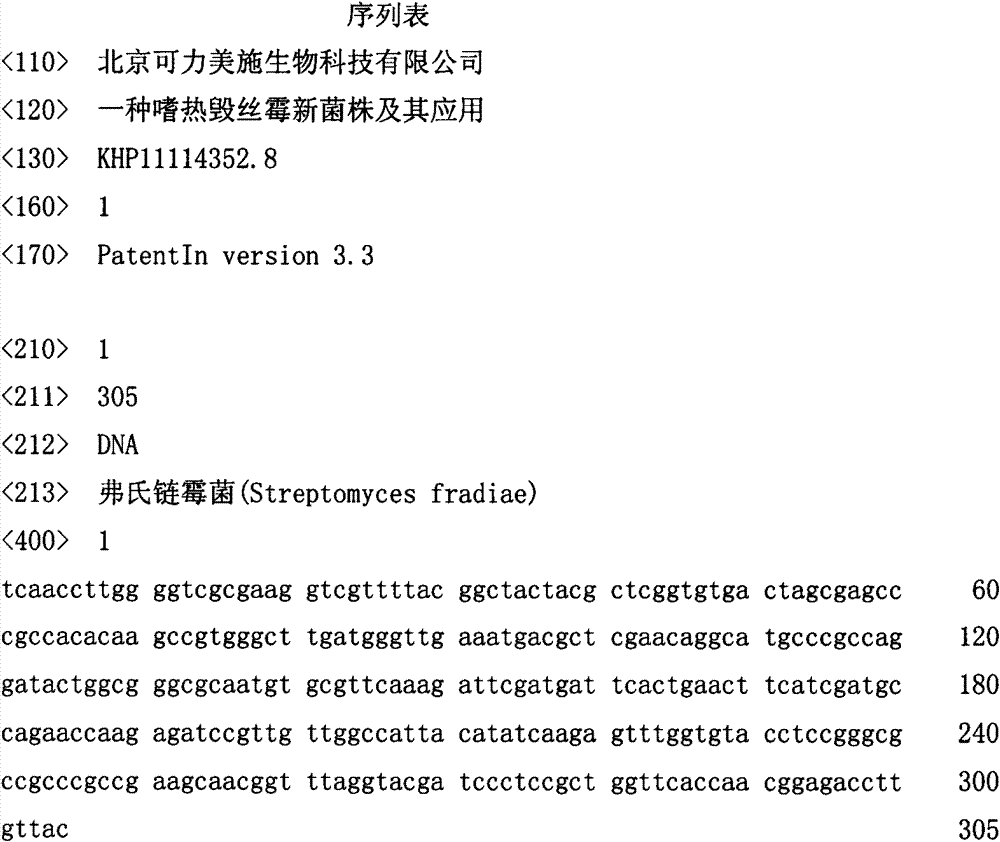 Novel myceliophthora thermophila strain and application thereof