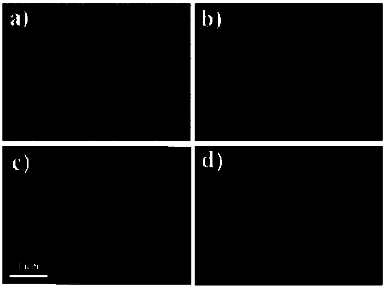 Monolithic catalyst for synthesizing dimethyl carbonate as well as preparation method and application method of the catalyst