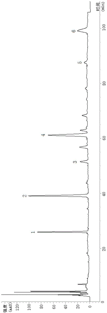 Method for separating total flavonoid glucuronide and total phenylethanoid glycoside in Callicarpa kwangtungensis Chun