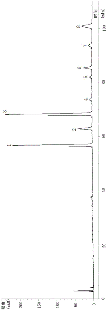 Method for separating total flavonoid glucuronide and total phenylethanoid glycoside in Callicarpa kwangtungensis Chun