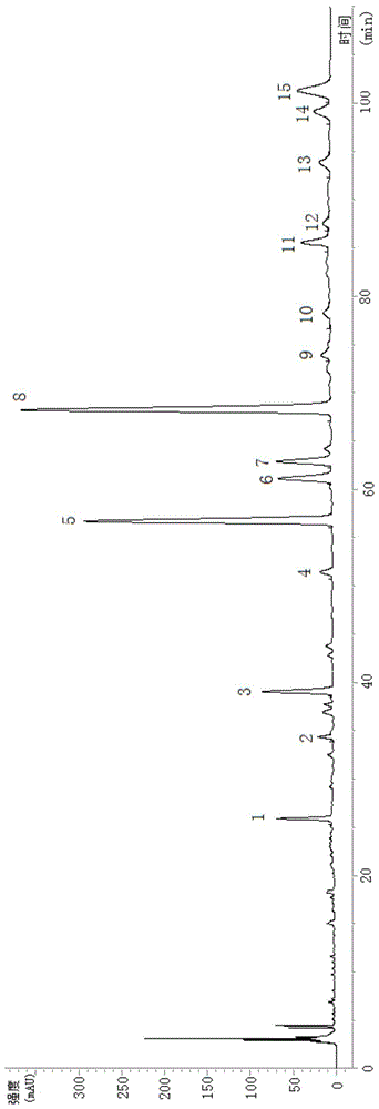 Method for separating total flavonoid glucuronide and total phenylethanoid glycoside in Callicarpa kwangtungensis Chun