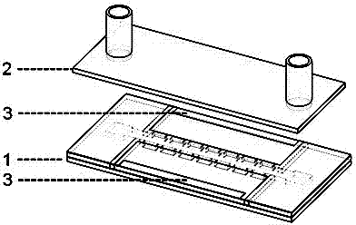 Cellular electric fusion chip device based on dispersed type side wall microelectrode array and processing process