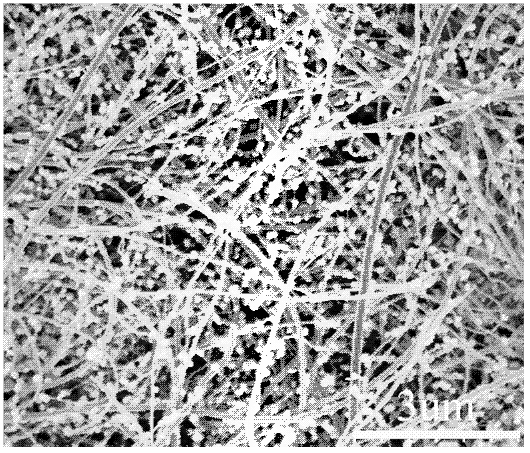 Composite nanometer carbon paper and preparation method thereof