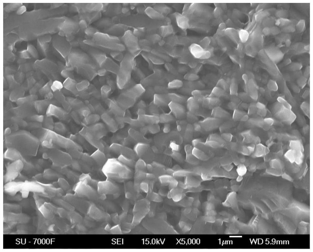 Silicon carbide whisker ceramic with typical long particle morphology and rich in lamination faults and twin crystals and preparation method thereof