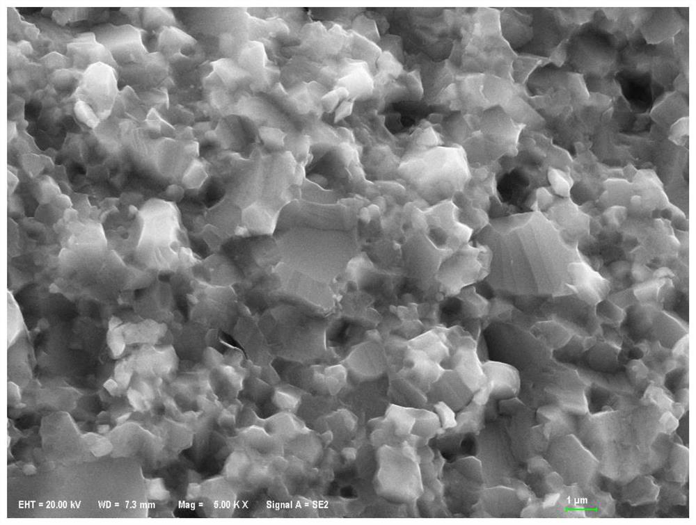 Silicon carbide whisker ceramic with typical long particle morphology and rich in lamination faults and twin crystals and preparation method thereof