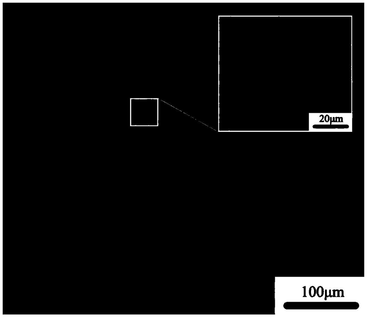 A kind of artificial bone scaffold composite material based on kangaroo bone and its preparation method