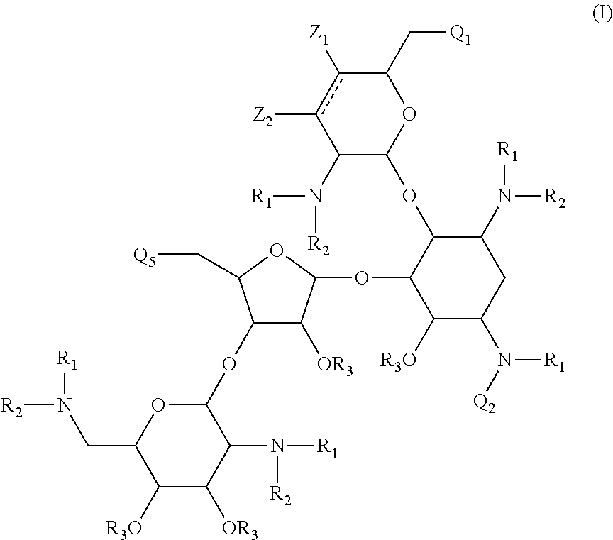 Antibacterial aminoglycoside analogs