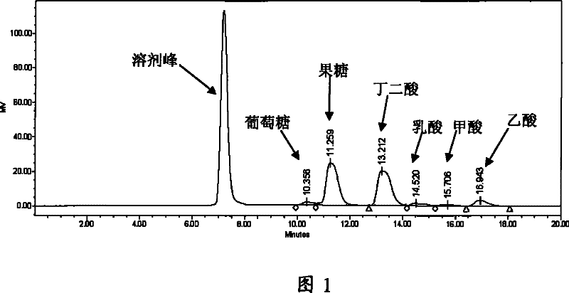 Method for producing butane diacid by fermenting Jerusalem artichoke raw material