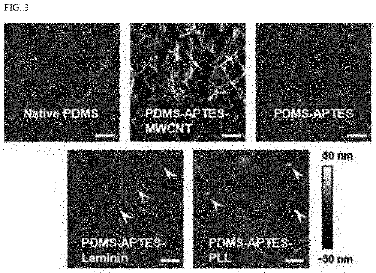 Manufacture of structure capable of forming three-dimensional neuronal spheroid and generating neurite through various surface processes