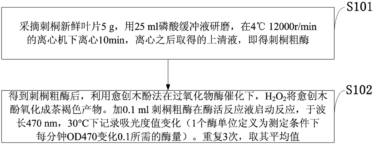 Method for degrading benzidine by using Oriental Variegated Coralbean leaf crude enzyme solution