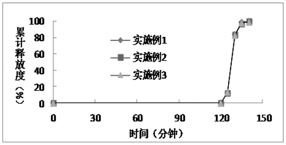 A kind of dimethyl fumarate enteric-coated pellets and preparation method thereof