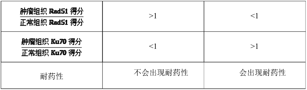 Kit for forecasting drug resistance of gastrointestinal stromal tumor and application of kit