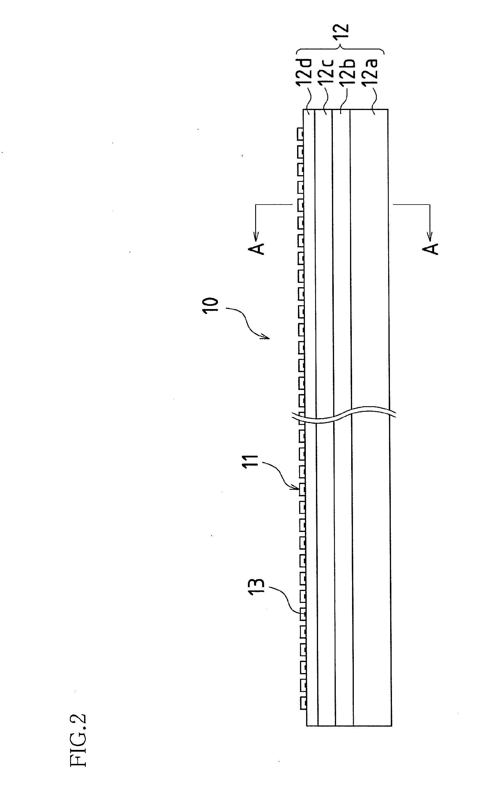 Light source apparatus, light irradiating apparatus provided with same light source apparatus, image reading apparatus provided with same light irradiating apparatus, and image forming apparatus provided with same image reading apparatus