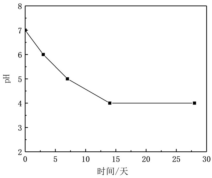 Preparation method of polyanhydride modified controllable biodegradable calcium phosphate bone cement as well as product and application thereof