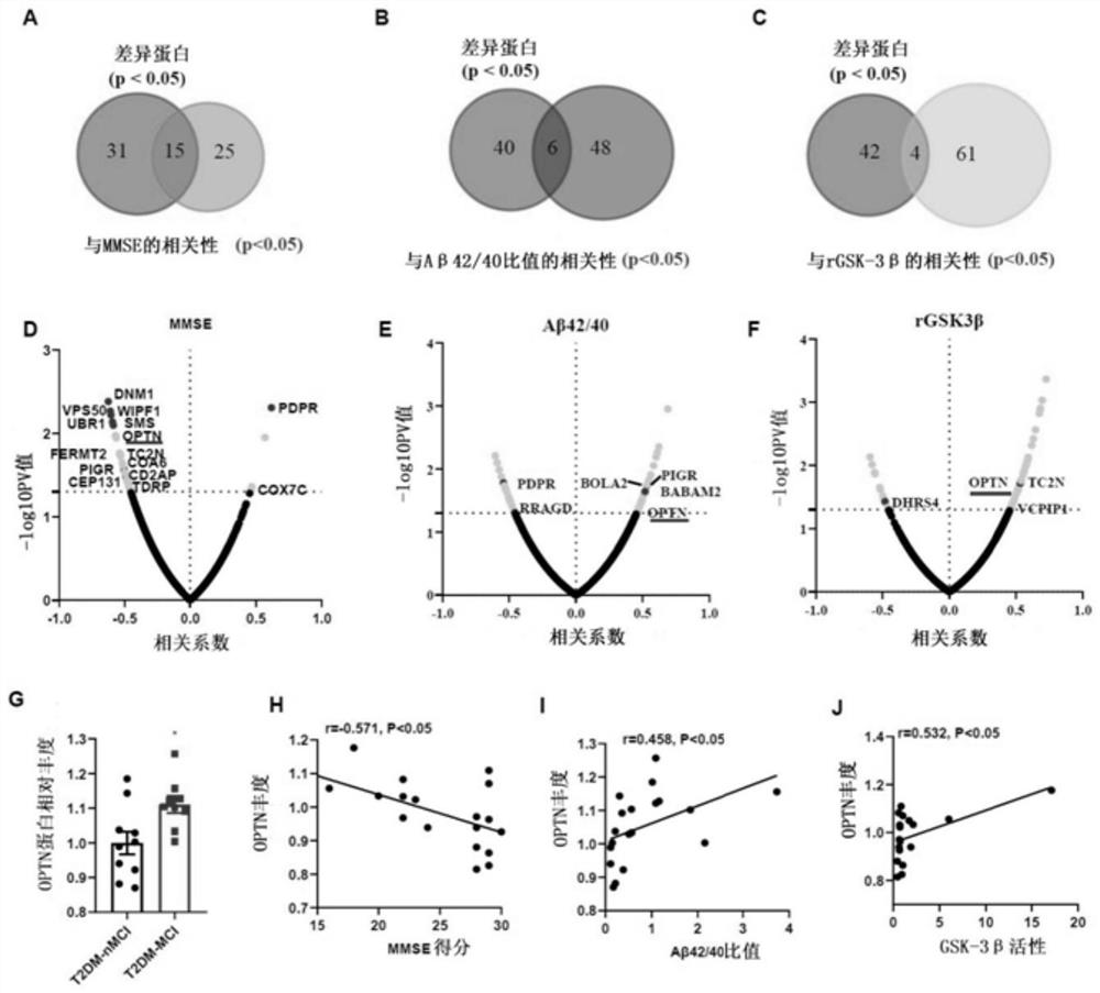 Biomarkers and kits for predicting the risk of MCI in patients with type 2 diabetes and their application