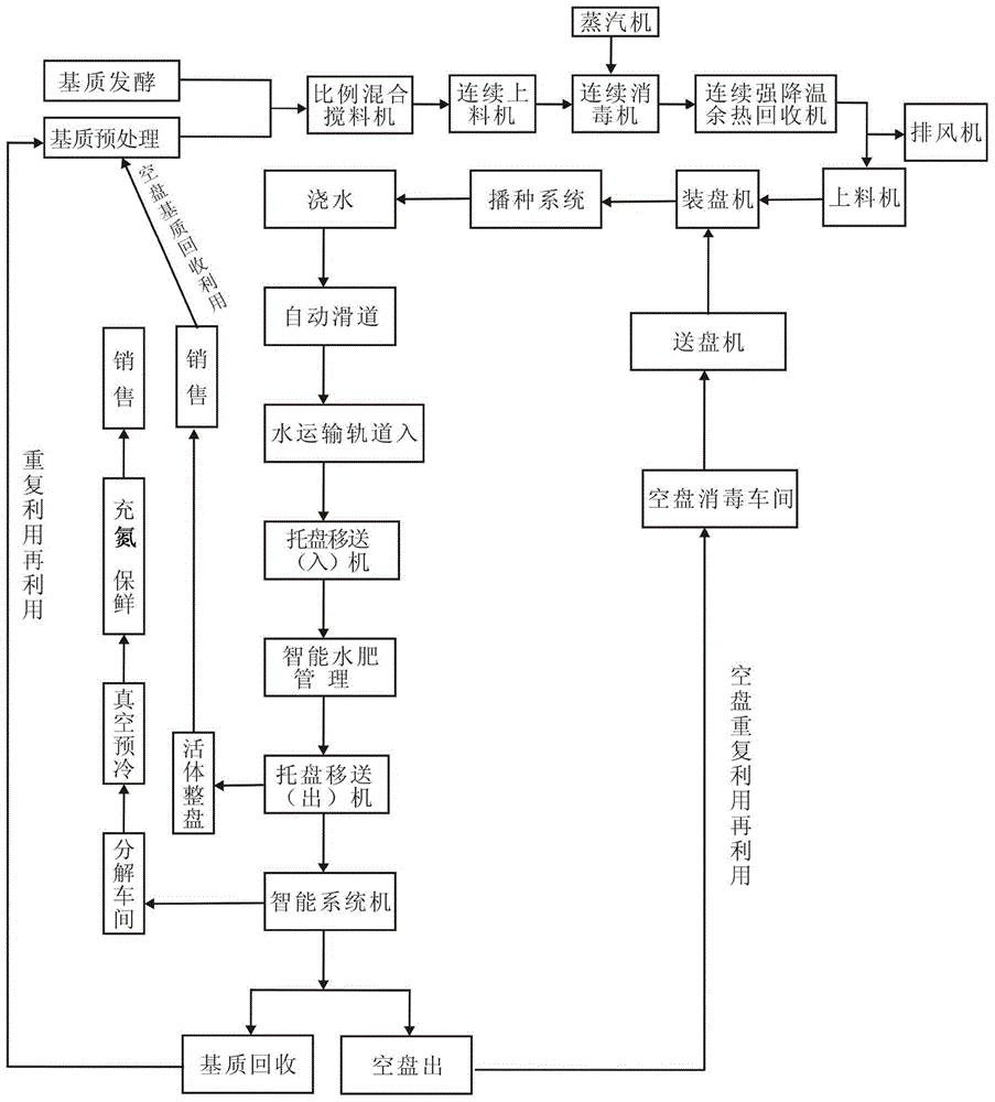 A method of intelligent large-scale seeding, seedling raising and direct seeding planting of leaf vegetables