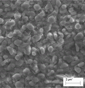 Sulfate reducing bacteria corrosion-resistant oil well pipe and production method thereof