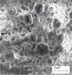 Sulfate reducing bacteria corrosion-resistant oil well pipe and production method thereof