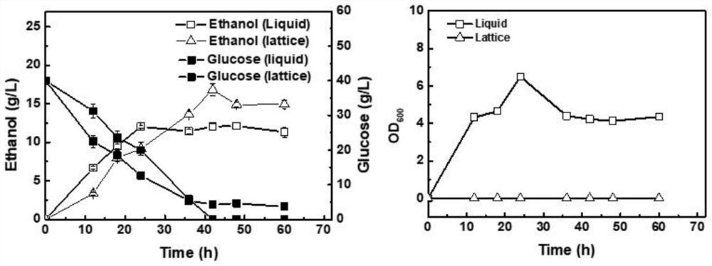 Method for constructing coexistence of aerobic fungi and facultative or anaerobic microorganisms by utilizing 3D printing