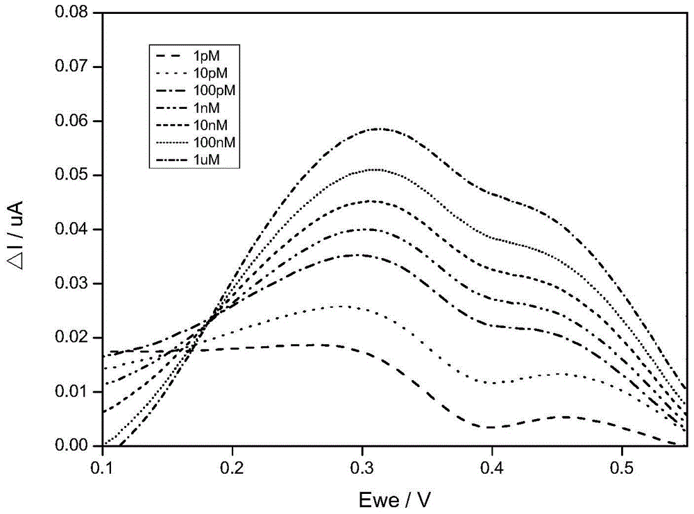 Electrochemical sensor based on stem-loop structure probe and preparation method thereof