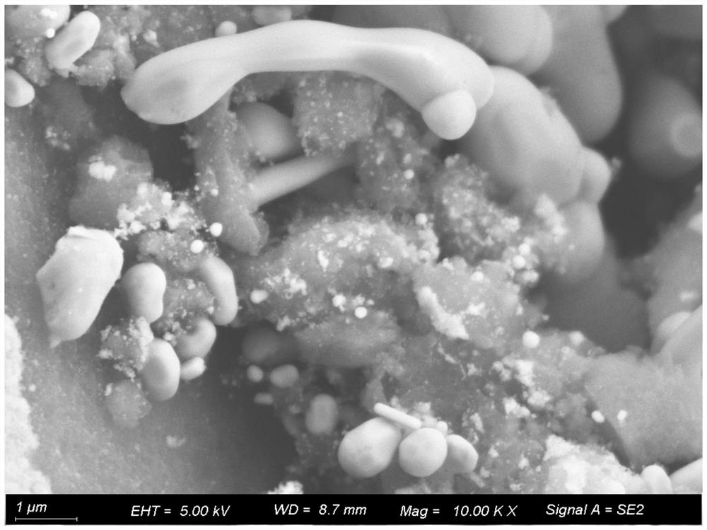 Application of tripolyphosphate mixed transition metal sodium salt in preparation of lithium ion battery or zinc ion battery