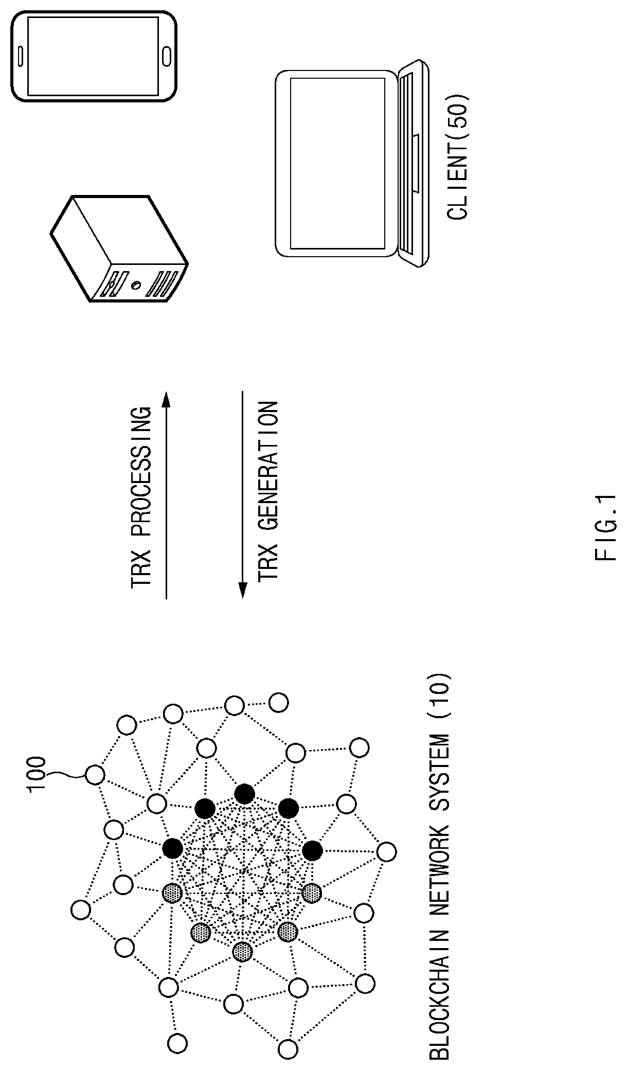 Blockchain system to which proof-of-transaction consensus algorithm is applied, and method therefor