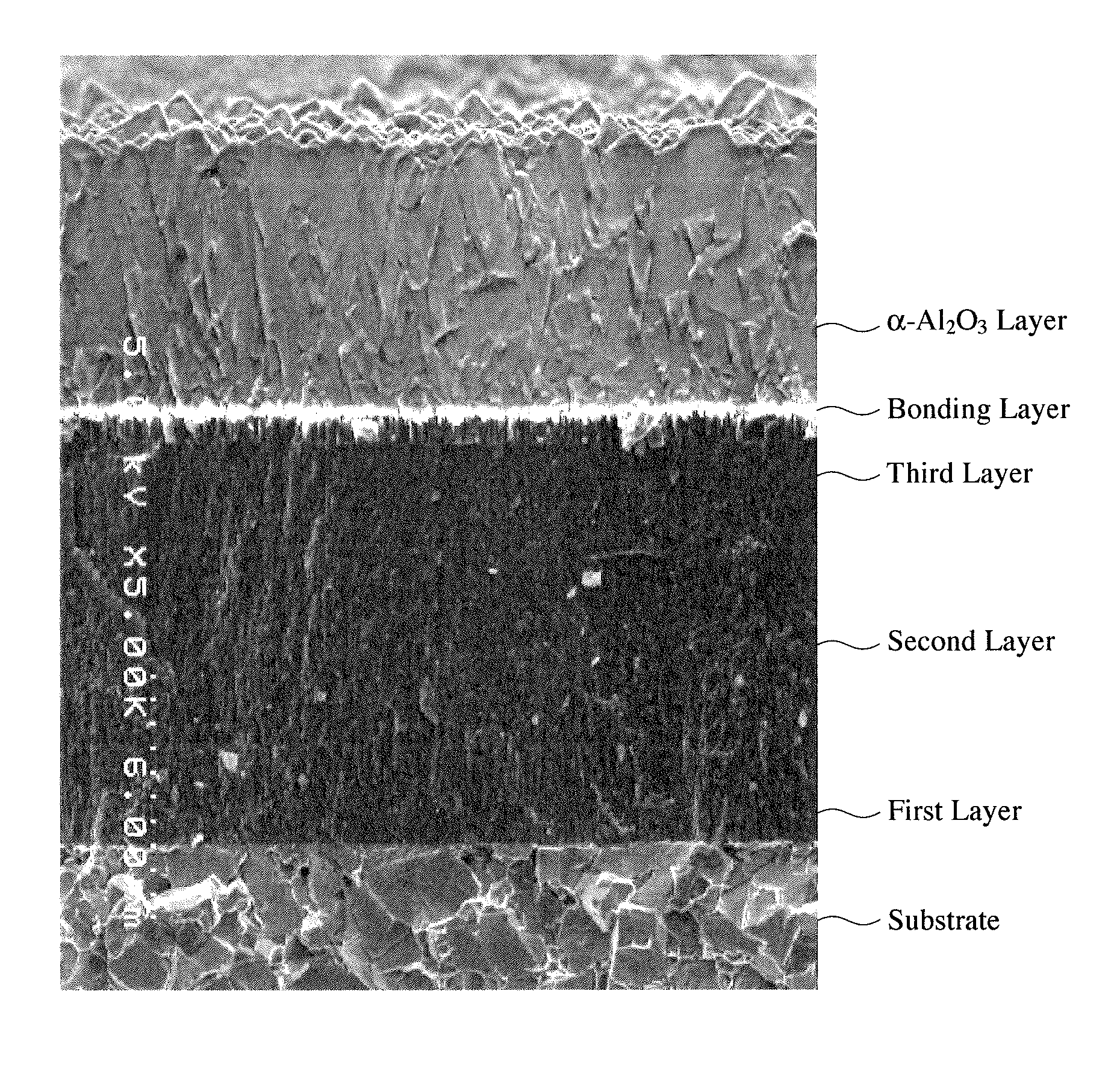 Hard-coated member and its production method, and indexable rotary tool comprising it