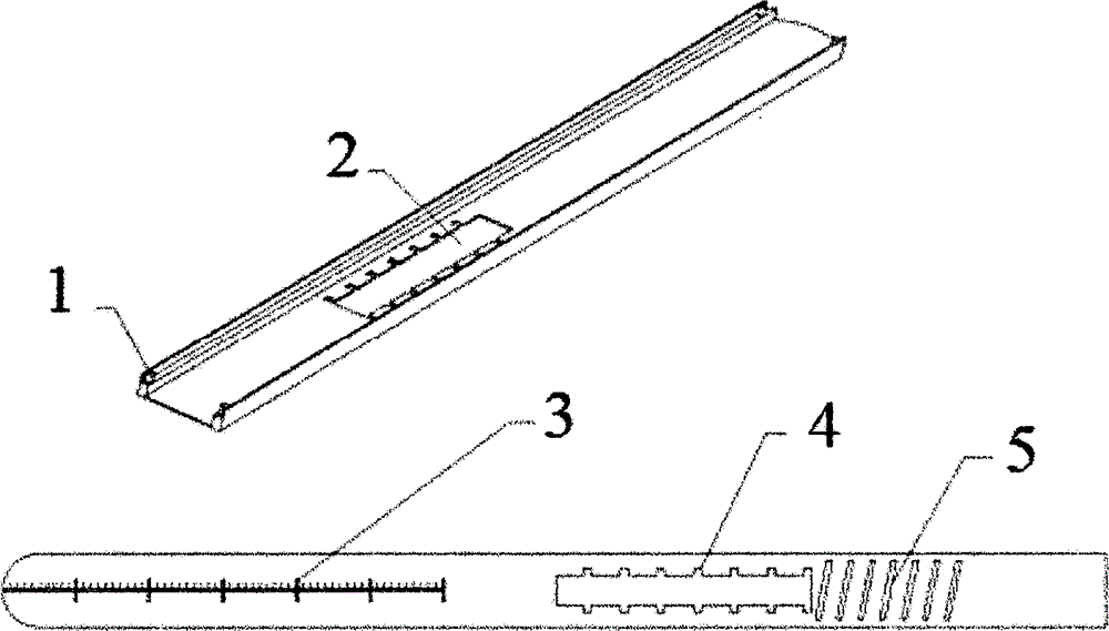 A multifunctional telescopic cutting scalpel for the discoid meniscus operation under a knee arthroscope