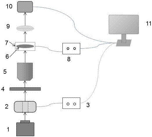 Hyperspectral microscopy imaging and polarization modulation apparatus based on LCTF and method thereof