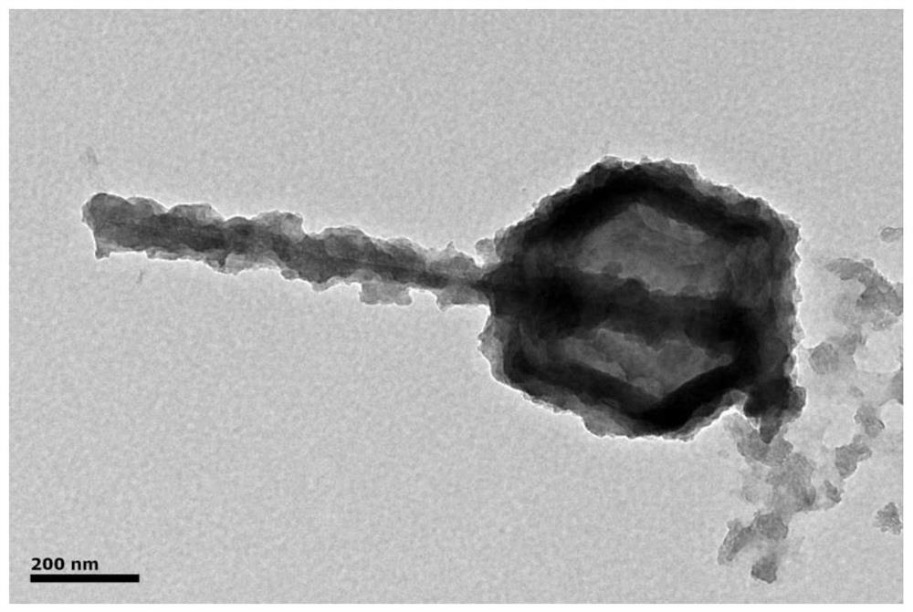 a cos  <sub>x</sub> @mno  <sub>2</sub> Composite material, preparation method and application thereof