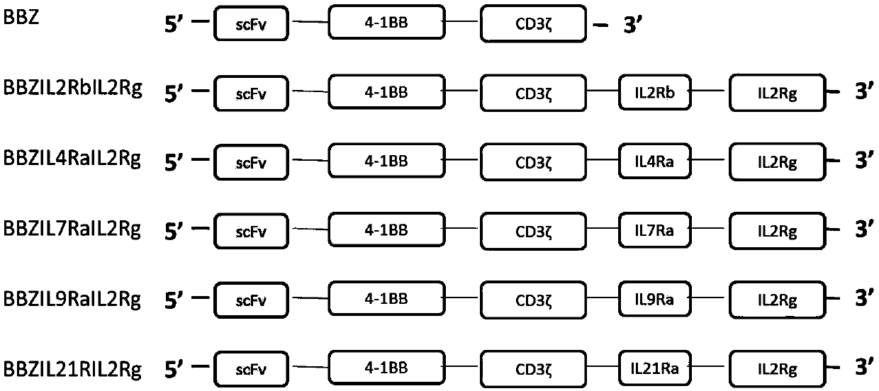 Chimeric antigen receptor (CAR) containing third signal receptor and application of CAR