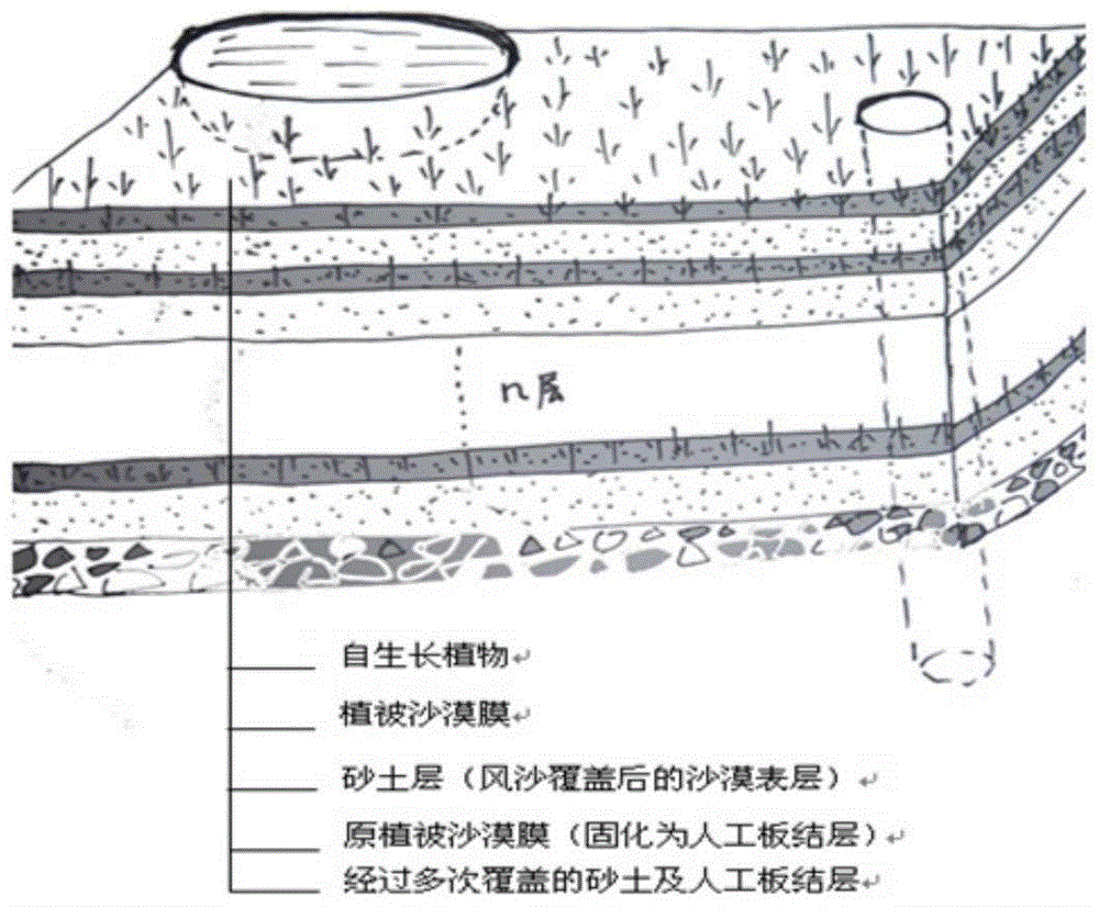 Water-retaining and sand-fixing liquid mulch film and preparation method thereof