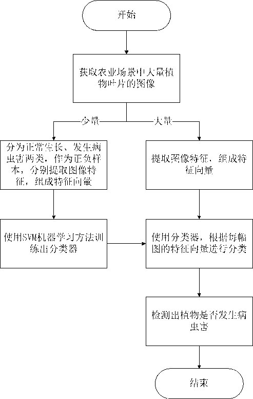 Plant disease and pest detection method based on SVM (support vector machine) learning