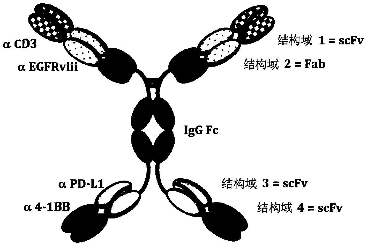 Multi-specific antibodies and methods of making and using thereof