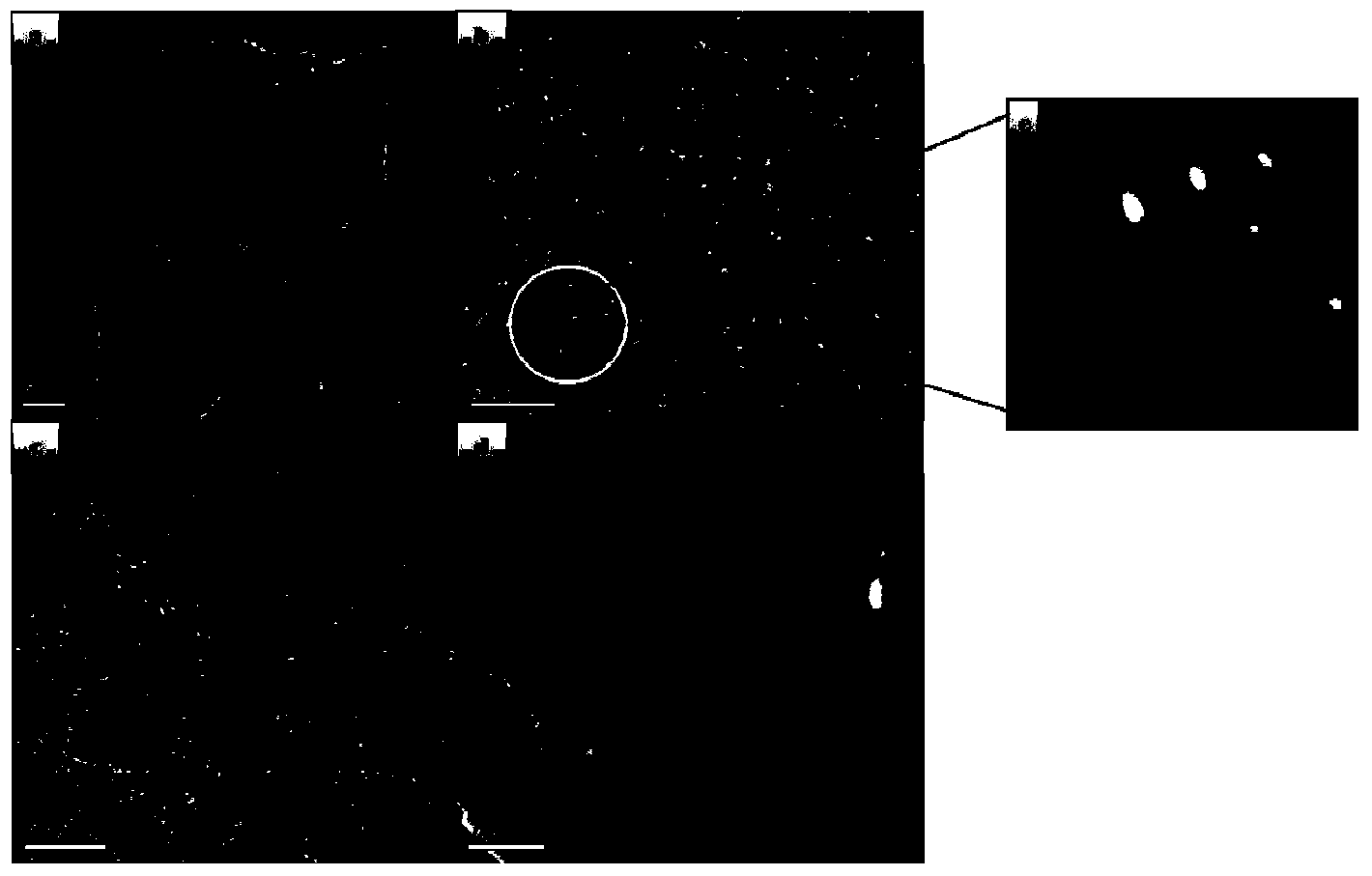 Preparation method of graphene-like boron nitride loading ionic liquid catalyst and application thereof