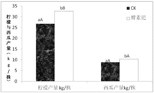 Watermelon enzyme liquid fertilizer and preparation method thereof